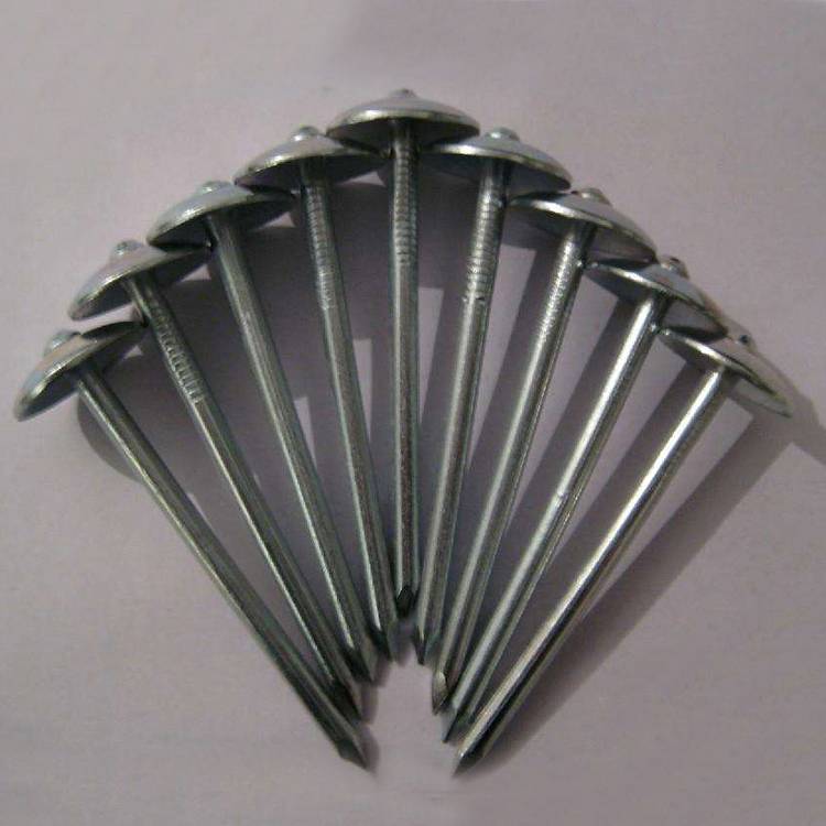 Construction Building Materials Corrugated Umbrella Head Galvanized Roofing Nail