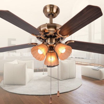 Home appliances decorative electric led ceiling fan lighting